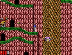 Jurassic Park (SEGA Master System) screenshot: The Pteranodon action scene