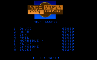 Surf Ninjas (DOS) screenshot: High score table