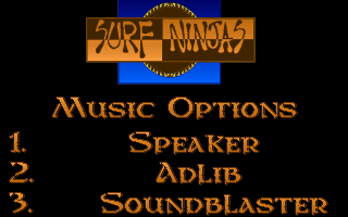 Surf Ninjas (DOS) screenshot: Music options