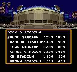 Super Baseball Simulator 1.000 (SNES) screenshot: Pick a Stadium