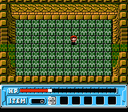 Faria: A World of Mystery & Danger! (NES) screenshot: The floor tiles prevent me from walking normally...