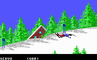 The Games: Winter Edition (DOS) screenshot: Oops, I crashed...(EGA/MCGA/Tandy)