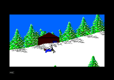 The Games: Winter Edition (Amstrad CPC) screenshot: I missed a flag.