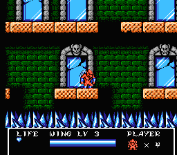 Gargoyle's Quest II (NES) screenshot: Only one path leads to the boss.