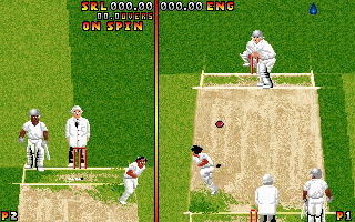 Ian Botham's Cricket (DOS) screenshot: Your player just bowls the ball...Opposite batsman is ready to smash it with his bat...