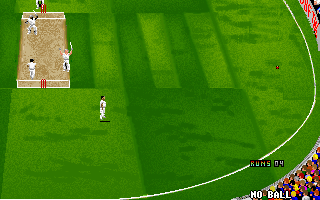 Ian Botham's Cricket (DOS) screenshot: Batsmen are glad that one of them hits the ball to the boundary of the playing area...