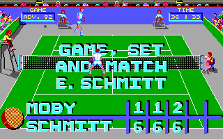 Pro Tennis Tour (DOS) screenshot: I have lost the match