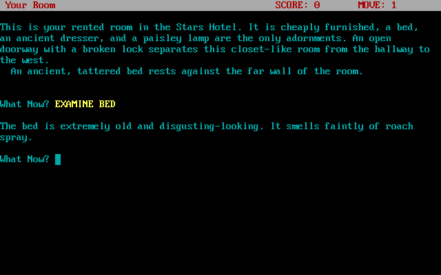 Storms I (DOS) screenshot: First location