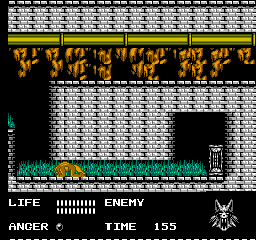 Werewolf: The Last Warrior (NES) screenshot: Crawling in narrow space