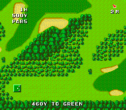 Naxat Open (TurboGrafx-16) screenshot: The fly-by from above