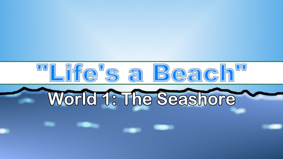 Party Ball (Windows) screenshot: Starting the first levels, "Life's a Beach". Entering World 1: The Seashore
