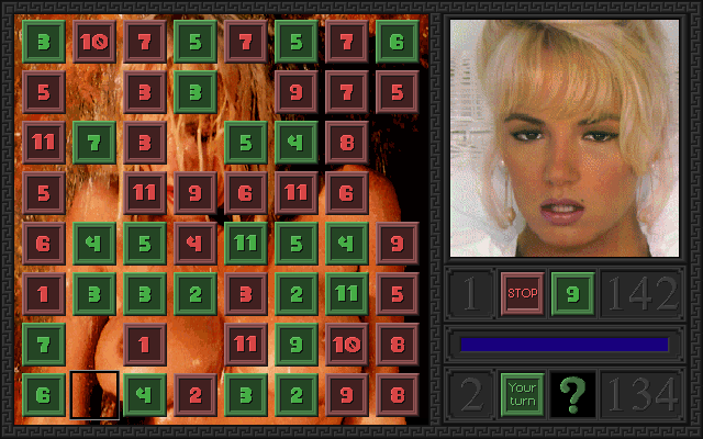 Penthouse Hot Numbers Deluxe (DOS) screenshot: Typical gameplay, this time with Julie Smith