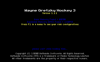 Wayne Gretzky Hockey 3 (DOS) screenshot: Loading Screen