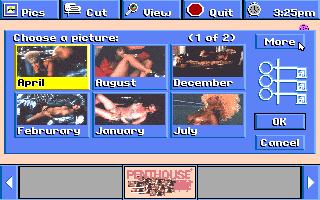 Penthouse Electric Jigsaw (DOS) screenshot: Selecting the picture (VGA)