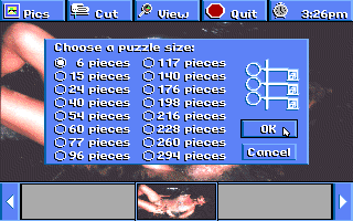 Penthouse Electric Jigsaw (DOS) screenshot: Cutting the picture (VGA)