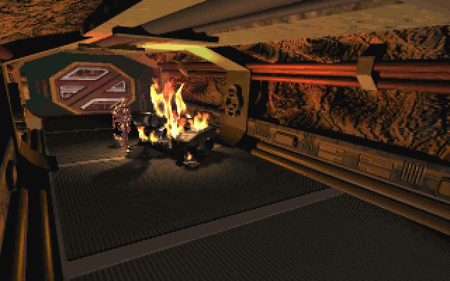 BioForge (DOS) screenshot: Guard robots aren't very smart but they make great bonfire.