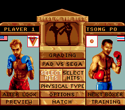 Screenshot of Best of the Best Championship Karate (Genesis, 1992 ...