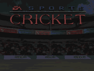 Cricket 96 (DOS) screenshot: Title screen 1