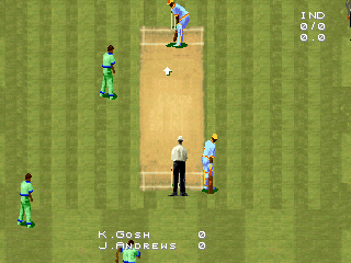 Cricket 96 (DOS) screenshot: Playfield