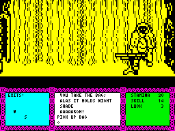 Heavy on the Magick (ZX Spectrum) screenshot: Picking up a bag