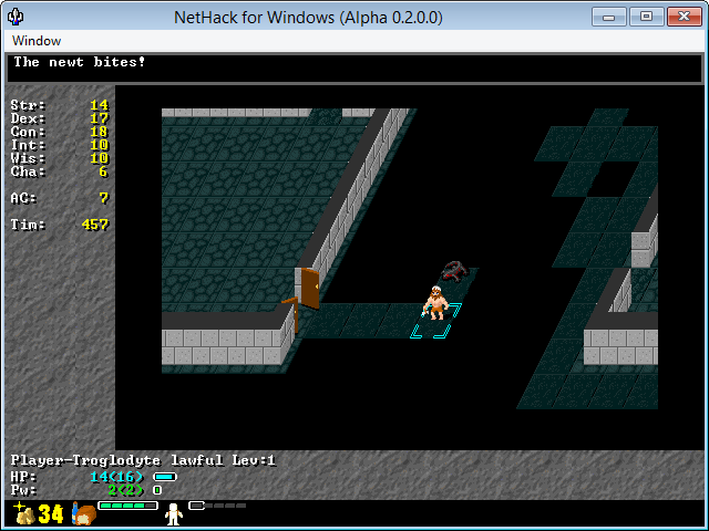 NetHack 2000 (Windows) screenshot: Custom graphical HUD.