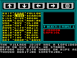 Majik (ZX Spectrum) screenshot: Back outside now Piradon has LOOKed ar Capriol