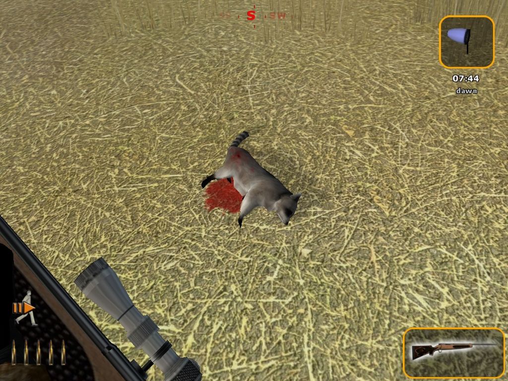 Deer Hunter 2004 (Windows) screenshot: Raccoon (Demo)