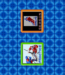 Pro Sport Hockey (SNES) screenshot: Choose to either practice or play through a season