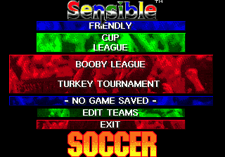 Championship Soccer '94 (Genesis) screenshot: Various kinds of tournaments