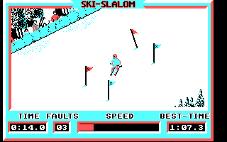 Winter Challenge: World Class Competition (DOS) screenshot: On the track (Ski Slalom)