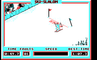 Winter Challenge: World Class Competition (DOS) screenshot: Reaching the finish (Ski Slalom)