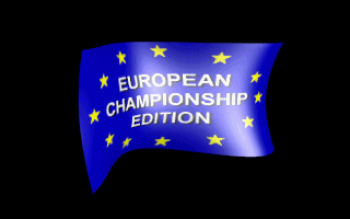 Sensible World of Soccer: European Championship Edition (DOS) screenshot: European Championship Edition