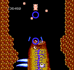 Abadox: The Deadly Inner War (NES) screenshot: No... THIS is a Tapeworm