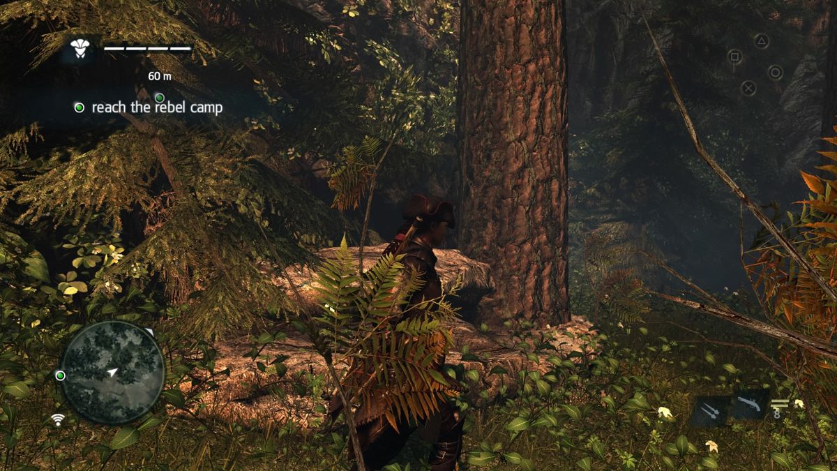 Assassin's Creed IV: Black Flag - Aveline (PlayStation 4) screenshot: Moving through the woods