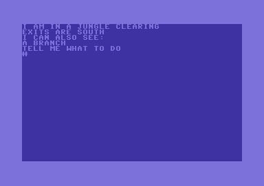 Adventure B (Commodore 64) screenshot: Starting location