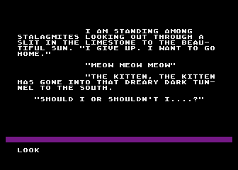 Adventure Master (Atari 8-bit) screenshot: A room description from the sample game