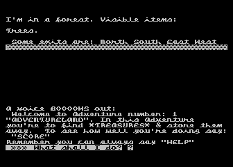 Adventureland (Atari 8-bit) screenshot: You start out in a forest. Nothing here, really, but trees.