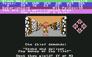 Alternate Reality: The Dungeon (Commodore 64) screenshot: A thief