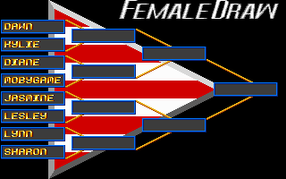 American Gladiators (DOS) screenshot: The tournament of the ladies.