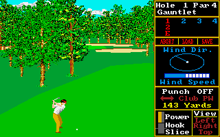 World Class Leader Board (Amiga) screenshot: Some trees in the way!