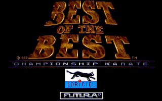 Best of the Best Championship Karate (DOS) screenshot: Title screen (VGA)