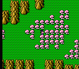 Bikkuriman World: Gekitō Sei Senshi (NES) screenshot: hey, I have nothing against mushrooms... but not so many, and not such big ones!