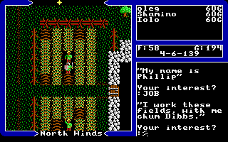 Ultima V: Warriors of Destiny (DOS) screenshot: Usual conversation with routine questions: Name and Job.