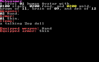 Untima IX: Descension (DOS) screenshot: Character status screen