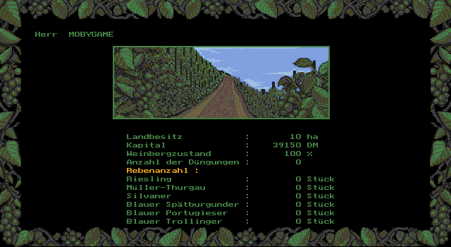 Winzer (DOS) screenshot: Which varieties of grapes to grow in your vinyards (VGA)