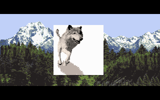 Wolf (DOS) screenshot: Introduction