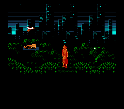 Nightshade (NES) screenshot: Exploring the park