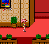 Bishōjo Senshi Sailor Moon S (Game Gear) screenshot: Just an ordinary room?