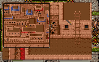 Conan: The Cimmerian (DOS) screenshot: Teleport Spell can be used as an ersatz for minimap
