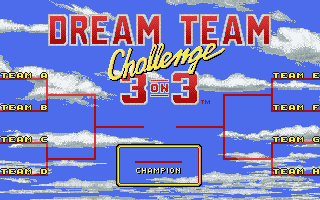 The Dream Team: 3 on 3 Challenge (DOS) screenshot: Dream team tournament